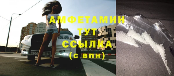 дмт Богданович