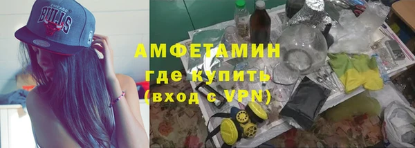 трава Белокуриха