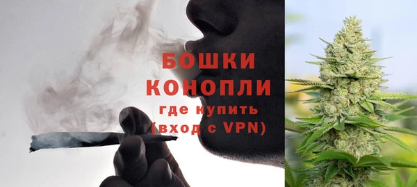 трава Белокуриха