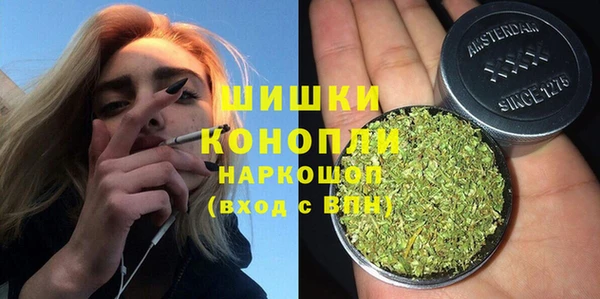 трава Белокуриха