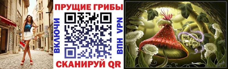 наркотики  Гудермес  Псилоцибиновые грибы MAGIC MUSHROOMS 