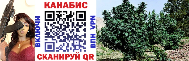 Марихуана White Widow  Гудермес 